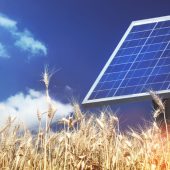 Mituri despre panourile fotovoltaice pe care le auzi des și explicația lor: